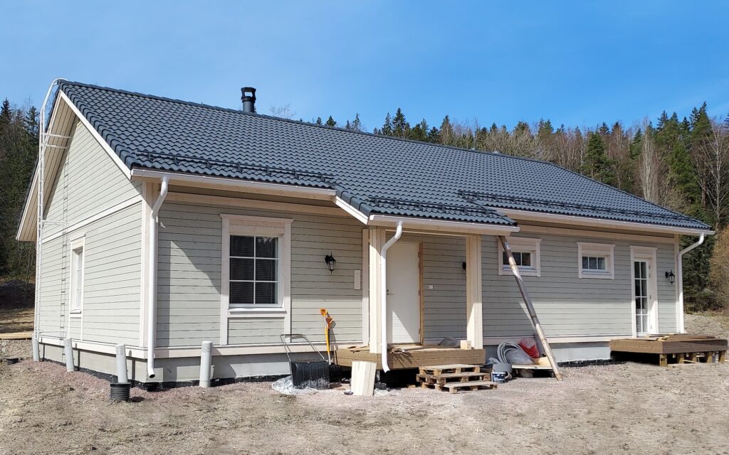 harmaja-piikkio-1