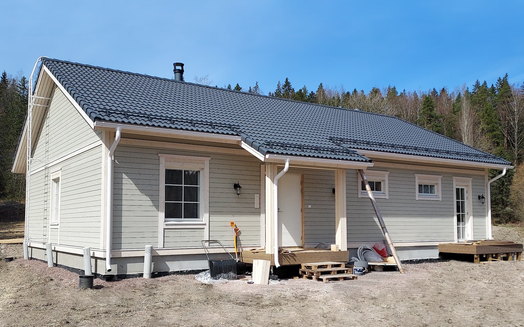 harmaja-piikkio-1 harmaja-piikkio-1